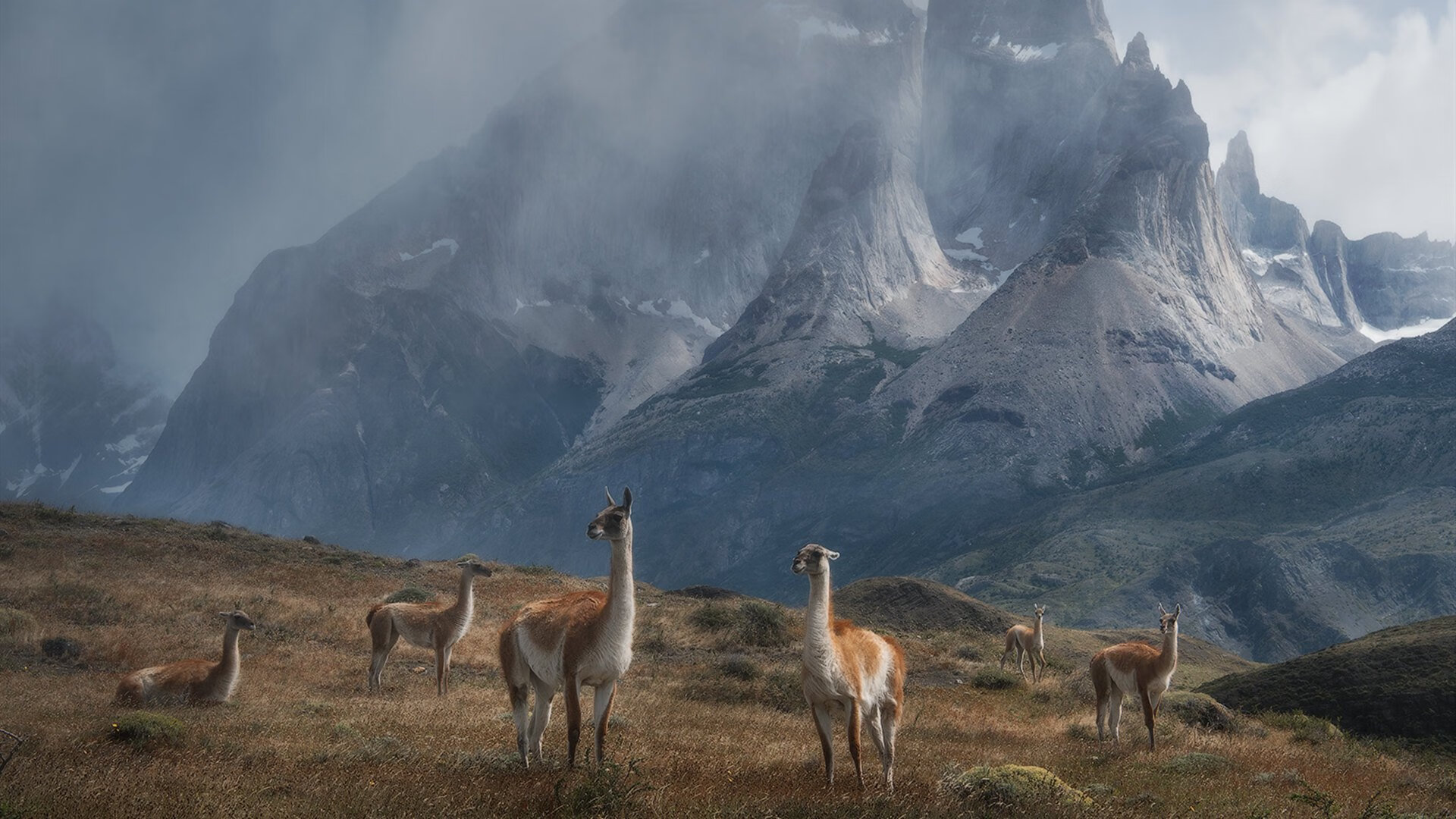 开云娱乐官网-“足球+文化+科技”新模式带动行业跨界融合，行业未来可期，和足球相关的产业