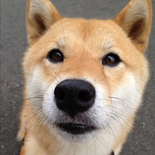 开云LOL-《2025电竞新技术展望：下一代硬件与软件创新》，电竞未来的趋势