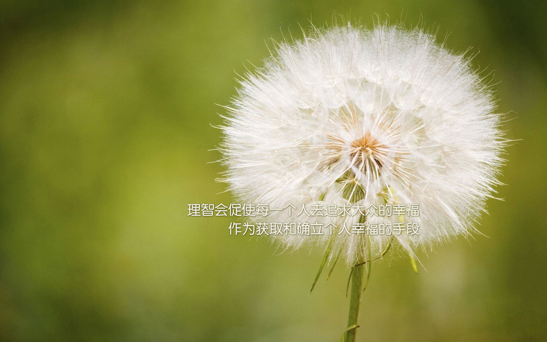 开云官网登录-保罗乔治开启播客，揭秘NBA更衣室秘辛，保罗乔治换号码的原因